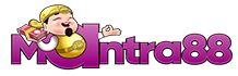 vs-logo-img
